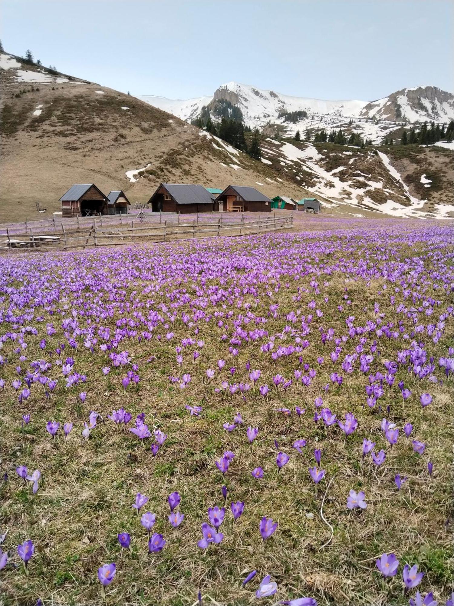 Katun Siska Medna Dolina Villa Berane Exterior foto